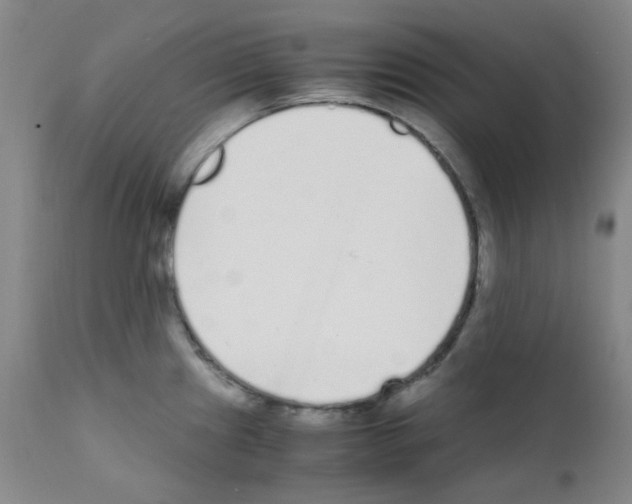 X0000111851241200909031719