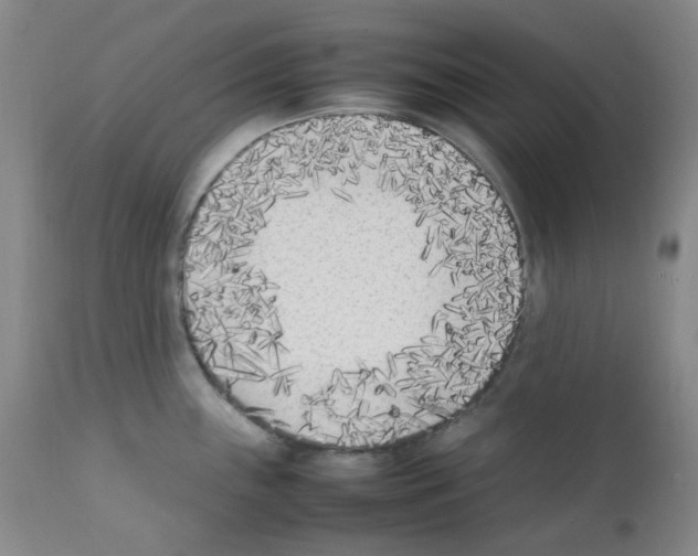 X0000111851243200909031719