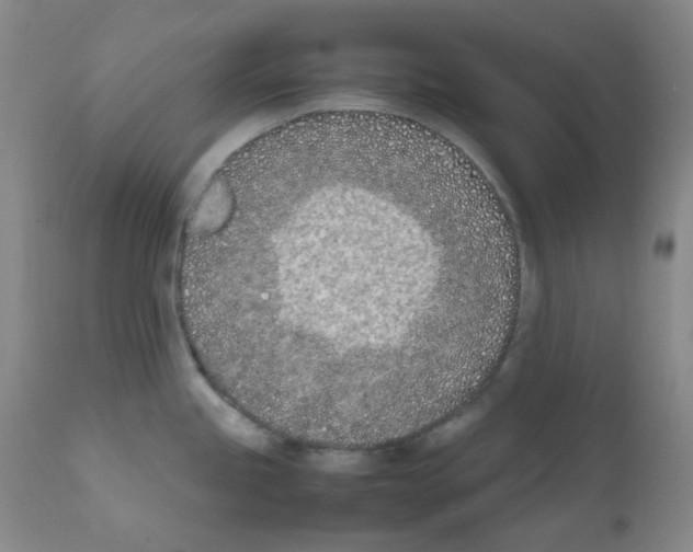 X0000111851245200909031719