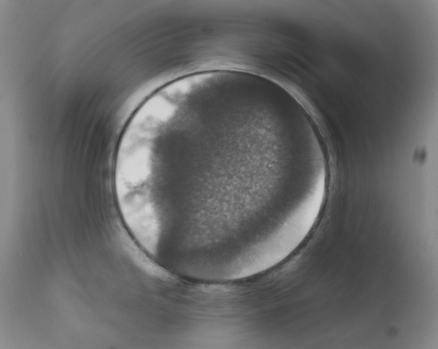 X0000111851246200909031719