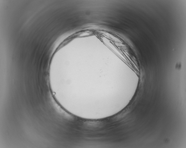 X0000111851247200909031719