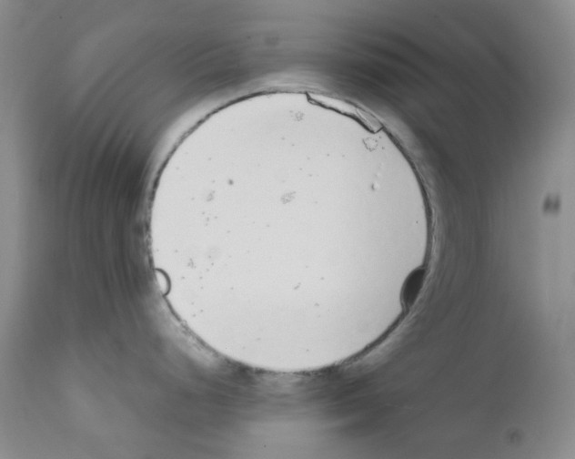 X0000111851248200909031719