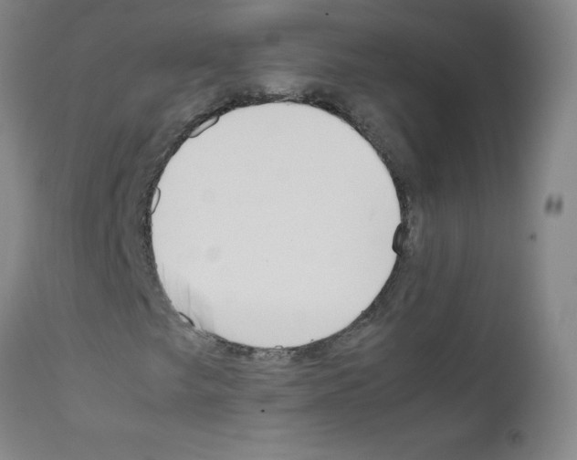 X0000111851249200909031719