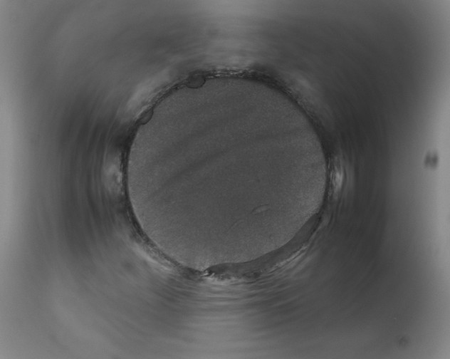 X0000111851252200909031719