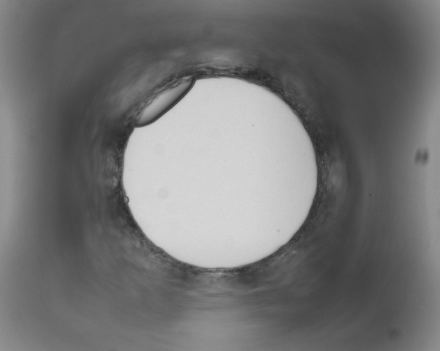 X0000111851253200909031719