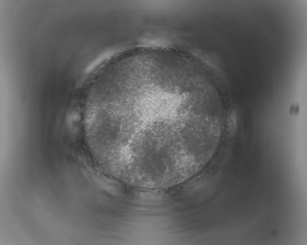 X0000111851254200909031719