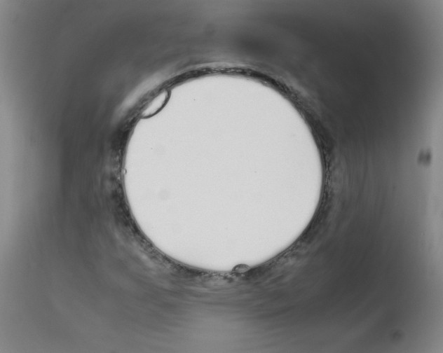 X0000111851255200909031719