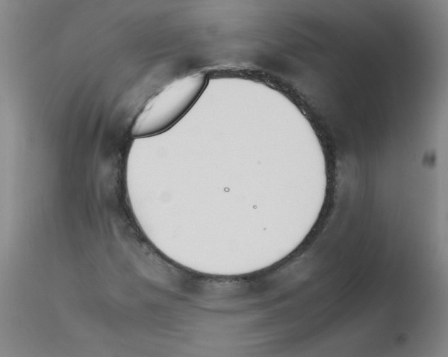 X0000111851257200909031719