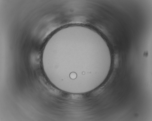 X0000111851258200909031719