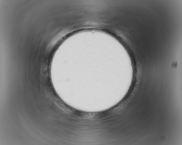 X0000111851259200909031719
