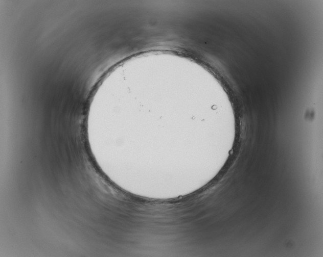 X0000111851260200909031719