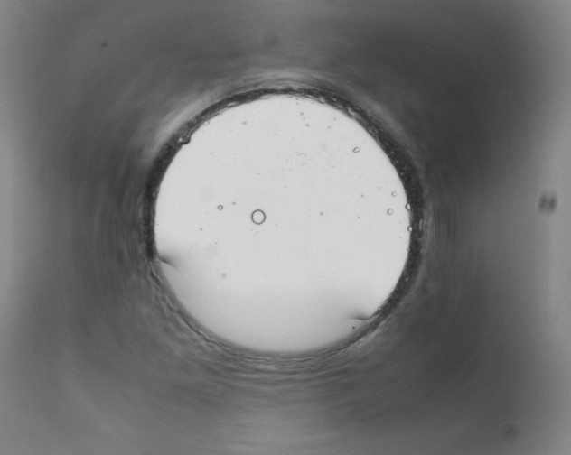 X0000111851261200909031719