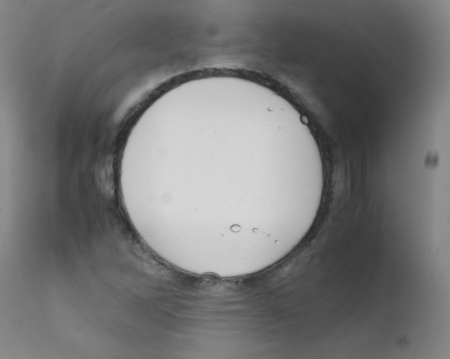 X0000111851262200909031719