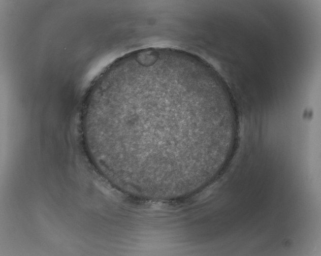 X0000111851263200909031719