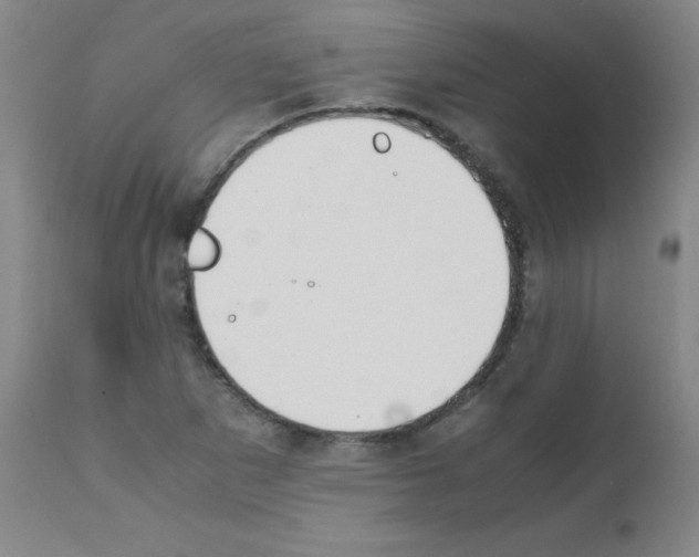 X0000111851265200909031719