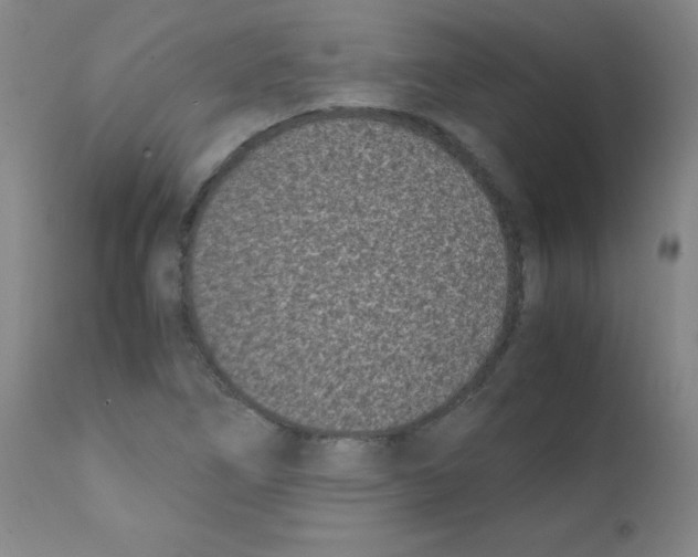 X0000111851266200909031719