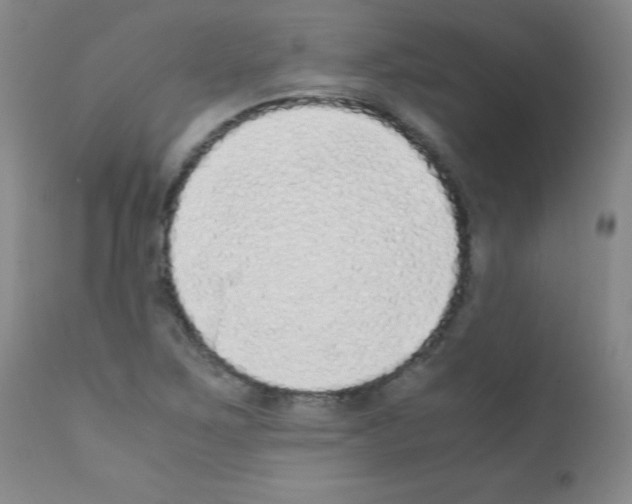 X0000111851267200909031719