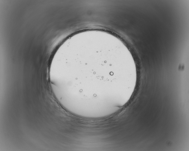 X0000111851269200909031719