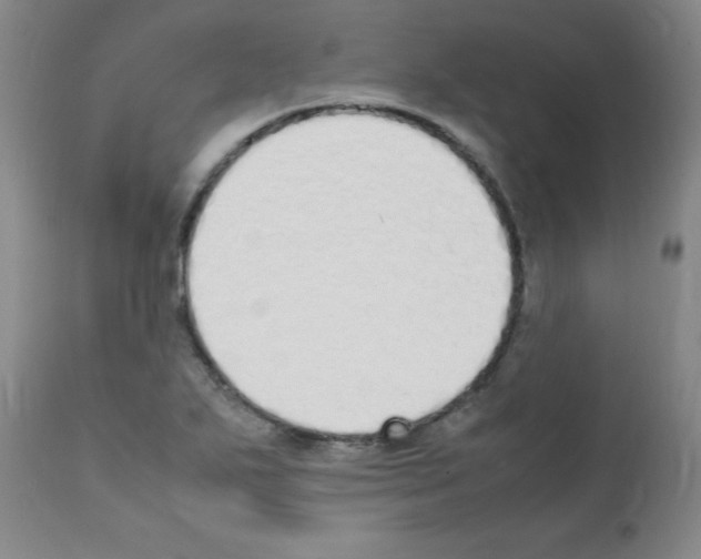 X0000111851271200909031718