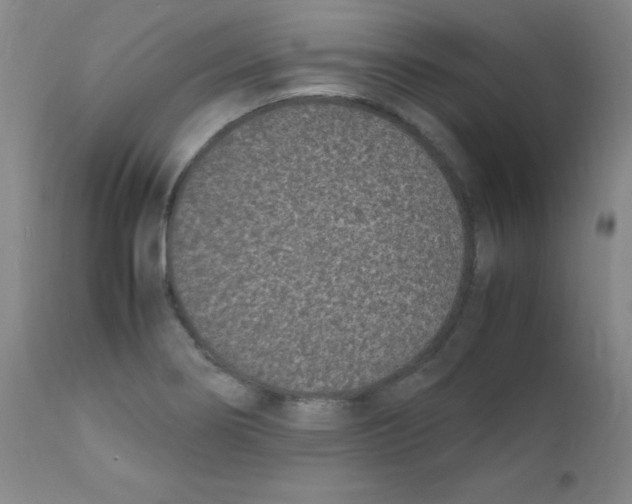 X0000111851274200909031718