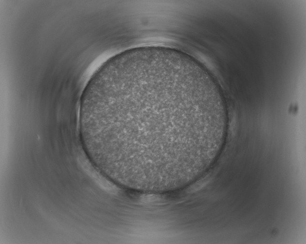 X0000111851275200909031718