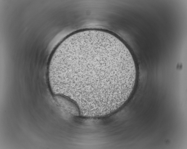 X0000111851277200909031718