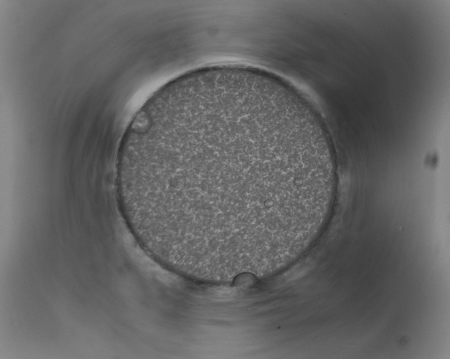 X0000111851279200909031718