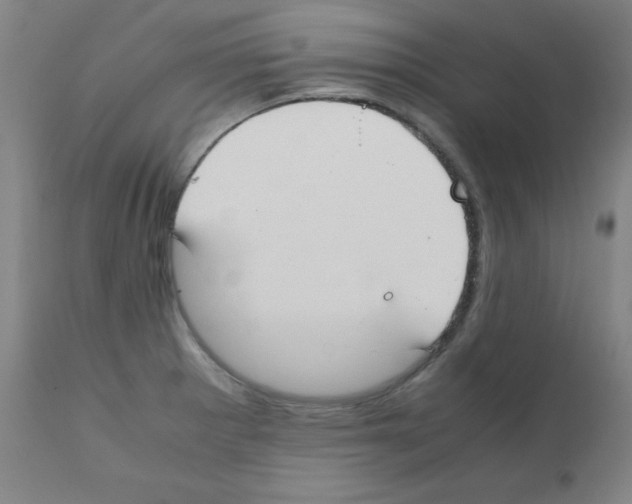 X0000111851281200909031718