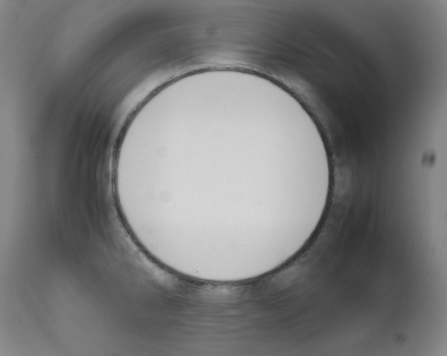 X0000111851286200909031718