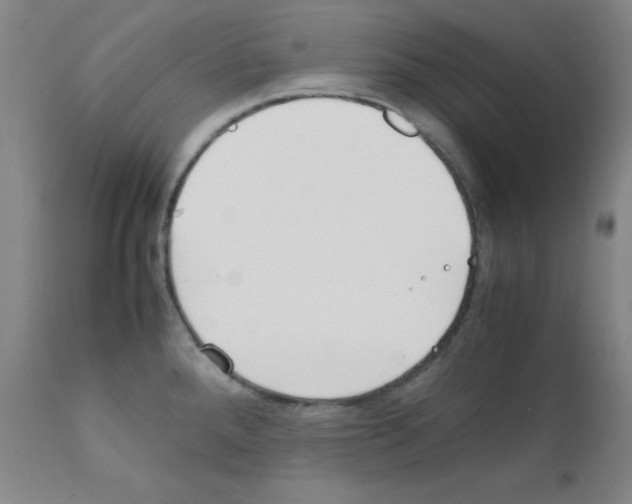 X0000111851288200909031718