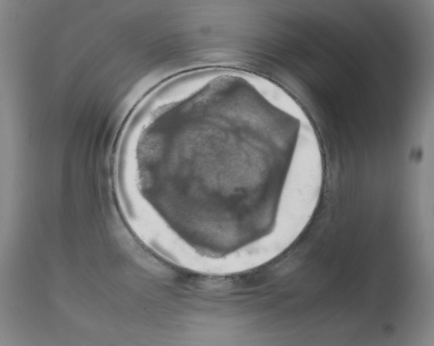 X0000111851291200909031718