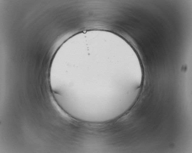 X0000111851293200909031718