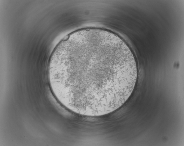 X0000111851295200909031718
