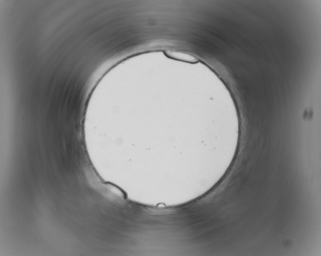 X0000111851296200909031718
