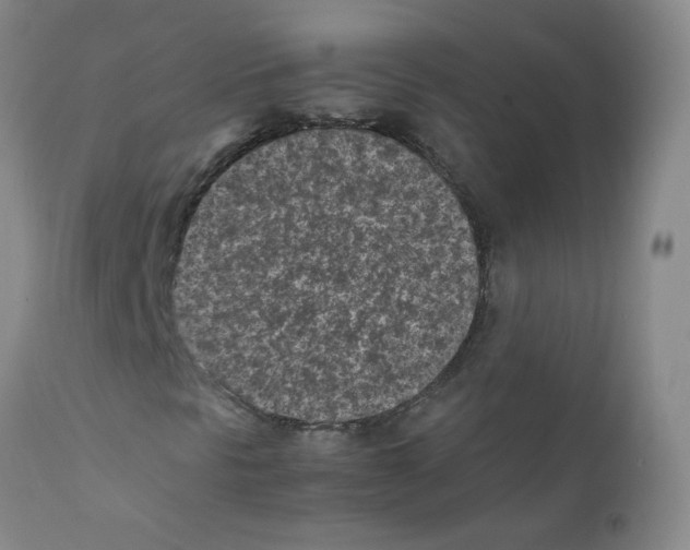 X0000111851297200909031717