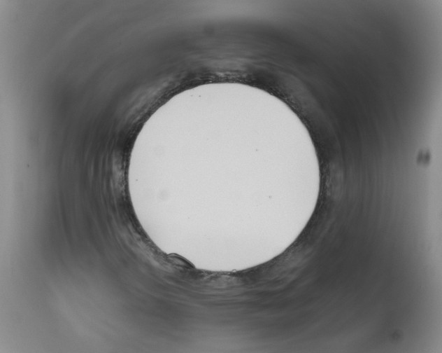 X0000111851298200909031717