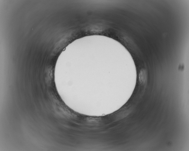 X0000111851299200909031717