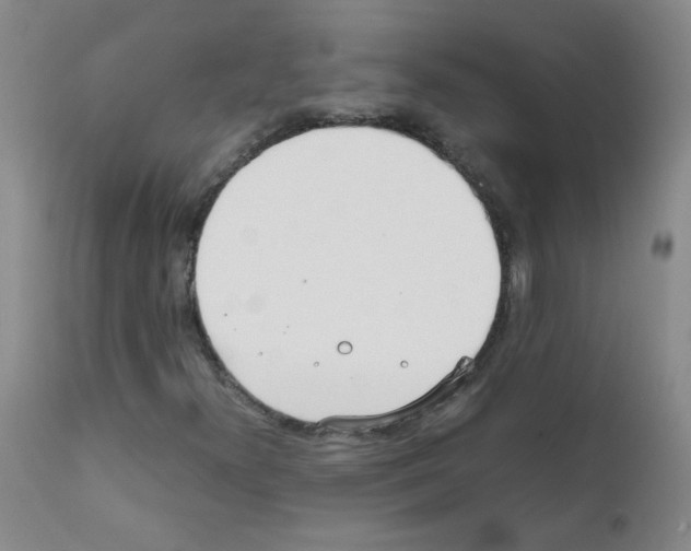 X0000111851300200909031717