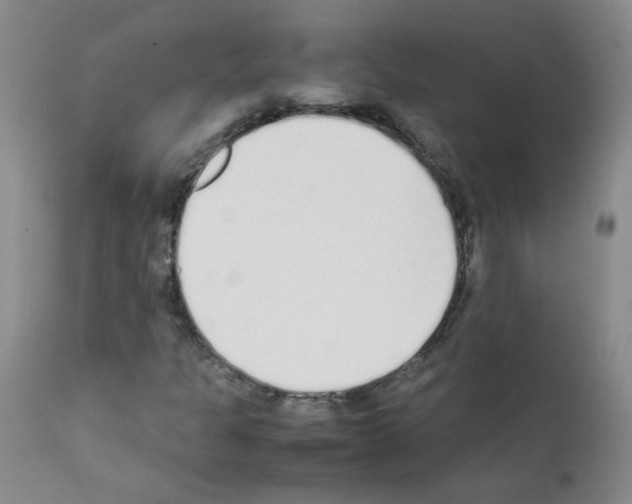 X0000111851301200909031717