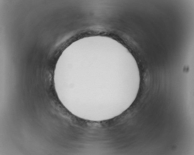 X0000111851302200909031717