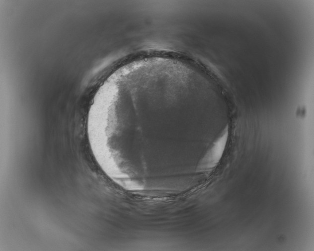 X0000111851303200909031717