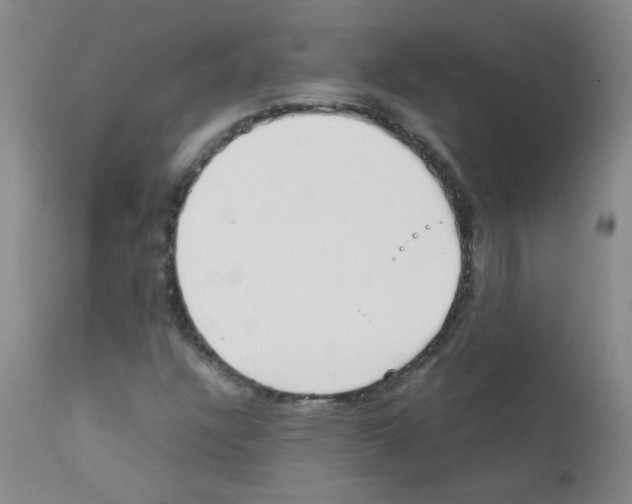 X0000111851304200909031717