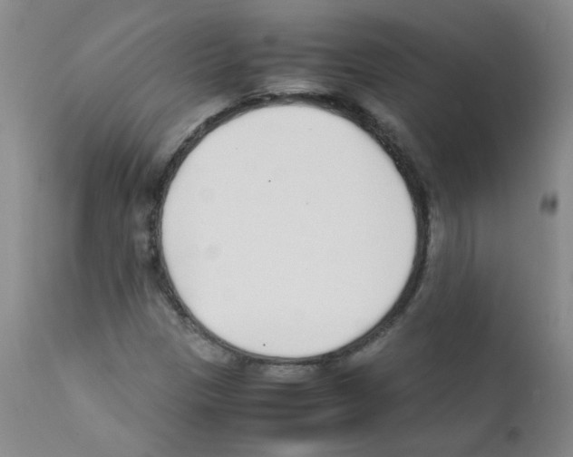 X0000111851305200909031717