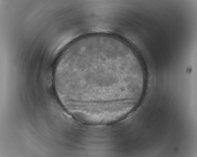 X0000111851306200909031717