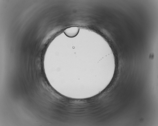 X0000111851307200909031717