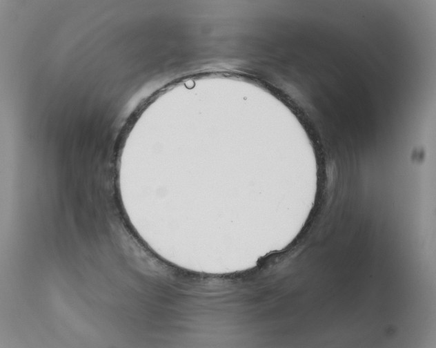 X0000111851308200909031717