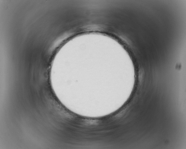 X0000111851309200909031717
