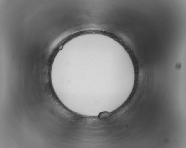 X0000111851310200909031718