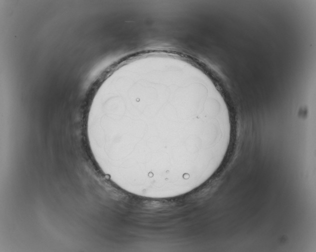 X0000111851311200909031718