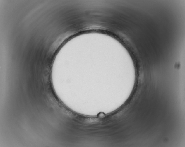 X0000111851313200909031718